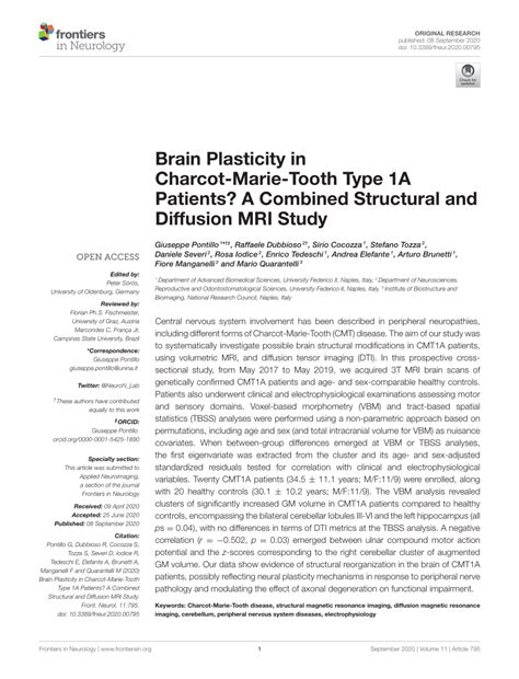 PDF Brain Plasticity In Charcot Marie Tooth Type 1A Patients A