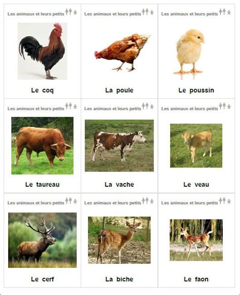 AnImaux HD: Animaux Sauvages Les Animaux Et Leur Femelle Et Leur Petit ...