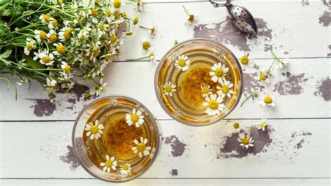 How To Make Homemade Chamomile Tea Chamomile Tea Recipes You