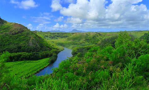 Wailua River Cruise and Fern Grotto Day Excursion in Kauai