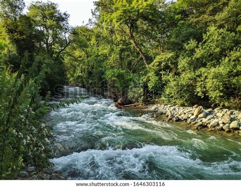 15 Dachigam National Park Stock Photos, Images & Photography | Shutterstock