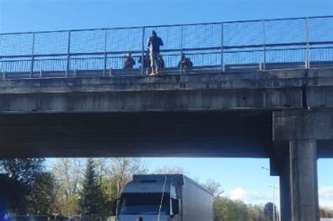 Gallarate Minaccia Di Buttarsi Dal Ponte Della Salvato Dalla