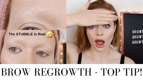 Help My Eyebrows Are Growing Back My Top Tip Browtober Youtube