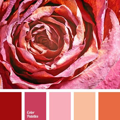 colour of dried rose | Color Palette Ideas