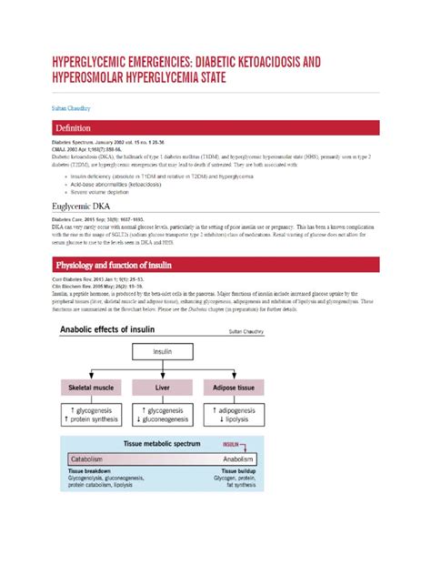 Diabetic Ketoacidosis And Hyperosmolar Hyperglycemia State Pdf