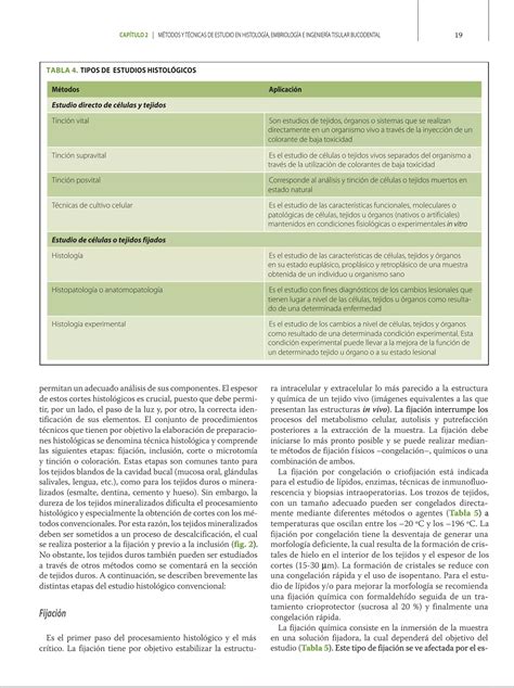 Libro De Histolog A Embriolog A E Ingenier A Tisular Bucodental Pdf