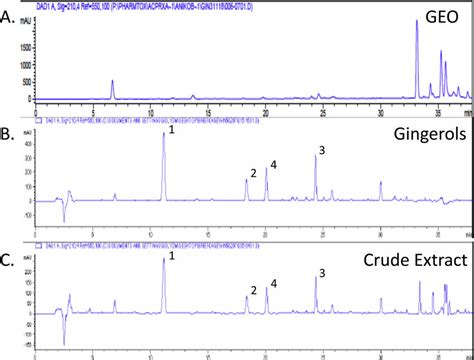 HPLC UV profiles λ 250 nm of GEO A a gingerol only fraction B