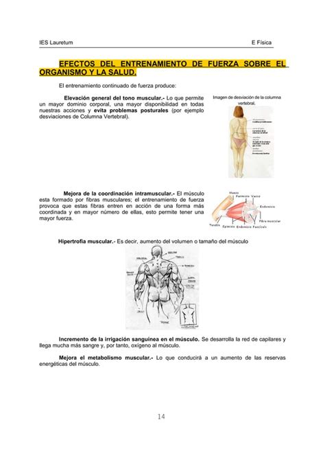 Condicion Fisica 3º Eso 13 14 Pdf