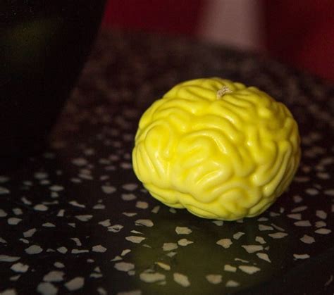 Human Brain 3d Silicone Mold Brain Mold For Creating Candles Etsy