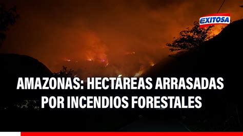 🔴🔵Amazonas: Cientos de hectáreas arrasadas por incendios forestales ...