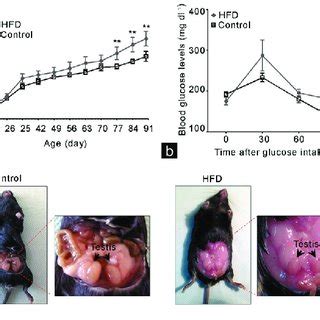 Hfd Feeding Induced A Metabolic State Associated With Alterations In