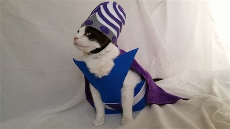 Mojo Jojo ️ Cat Cosplay 2015 Halloween Costumes Mojo Jojo