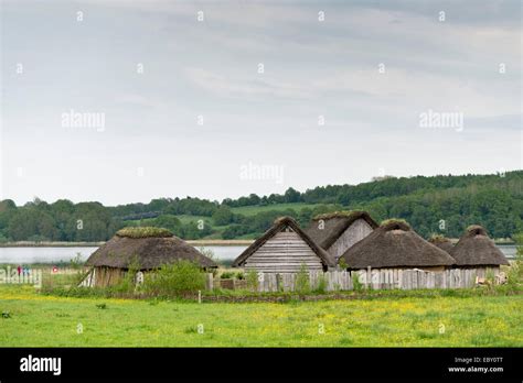 Reconstructed Viking houses with thatched roofs, Hedeby Viking Museum ...