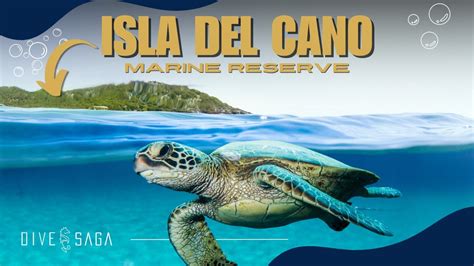 Scuba Diving In Ca O Island Costa Rica Youtube