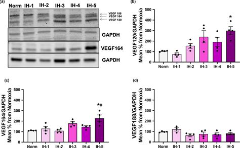 Protein Expression Of Vegf Isoforms In Left Ventricular Myocardium By