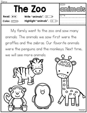 Sight Word Animals – Passage and Booklet - Education to the Core Premium