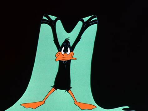 Daffy Duck | WB Animated Universe Wiki | Fandom powered by Wikia