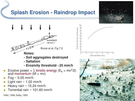 PPT - Soil Erosion PowerPoint Presentation - ID:6806933