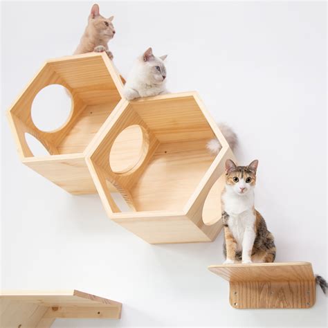 Busy Cat Hexagon Floating Cat Shelf Myzoo Touch Of Modern