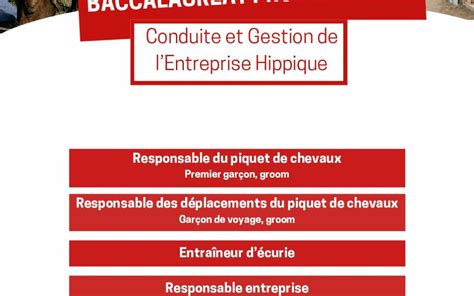 BAC PRO CGEHippique 1 Agricampus