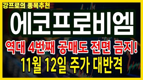 에코프로 에코프로비엠 주가전망 긴급대응 2500억 순매수 역대 4번째 공매도 전면금지 11월 12월 주가 대반격