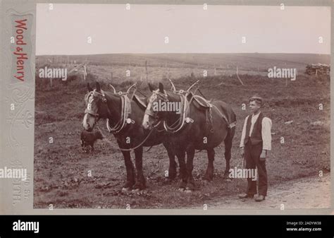 Victorian 19th Century Farming Hi Res Stock Photography And Images Alamy