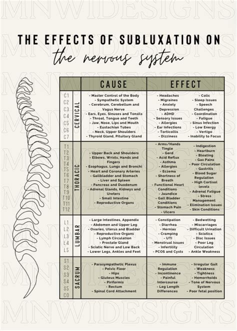 Effects Of Subluxation Nerve Chart Nervous System Educational Poster Digital Download Pdf Etsy