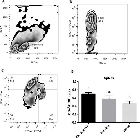 Cd4 Cd8 T Cell Ratio Of The Splenic Lymphocytes Broilers Were Fed Download Scientific