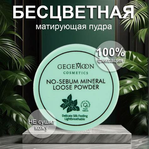 Минеральная рассыпчатая пудра для лица, прозрачная матирующая пудра, NO ...