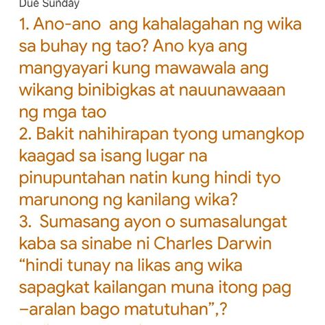 Ano Ano Ang Kahalagahan Ng Wika Sa Buhay Ng Tao Ano Kaya Ang Mangyayari