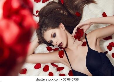 Sexy Girl Beautiful Brunette Petals Red Roses Royalty Free Images Stock Photos Pictures