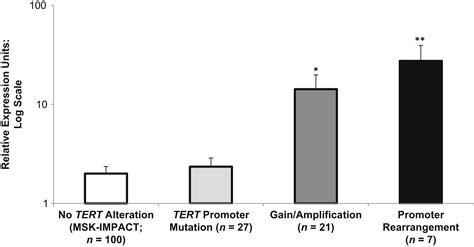 A Pan Cancer Study Of Somatic TERT Promoter Mutations And Amplification