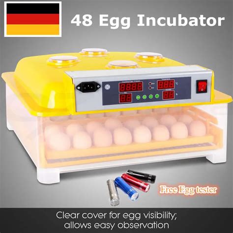 Online Buy Wholesale quail egg incubator for sale from China quail egg