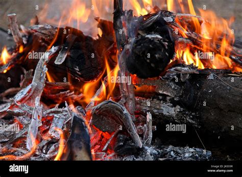 Burning Firewood In The Fireplace Close Up Stock Photo Alamy