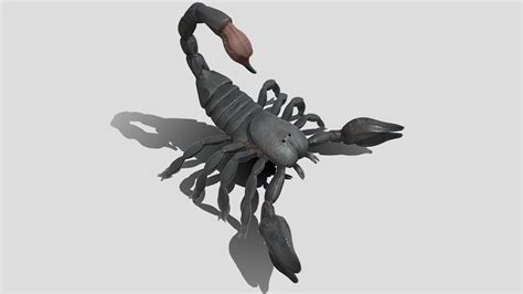 Black Scorpion Buy Royalty Free 3d Model By Naklerswork Nakler