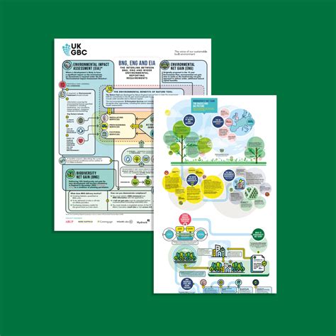 Biodiversity Net Gain Infographics Ukgbc