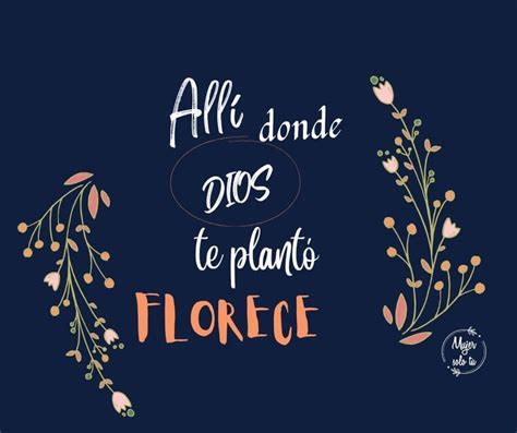 The Phrase Alle Donde Docs De Planto Florece