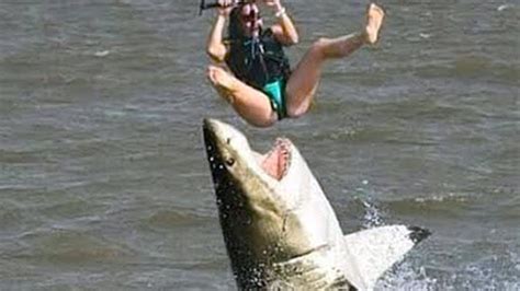 15 Most Dangerous Ultimate Close Calls In the Sea