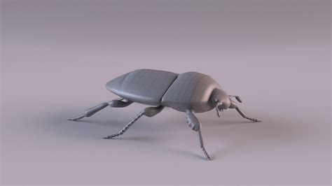 Beetles Bundle 3d Model Turbosquid 1714177