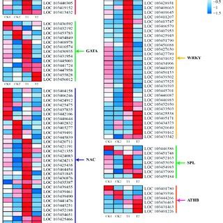 Heat Map Representation Of The Expression Patterns Of Genes Encoding