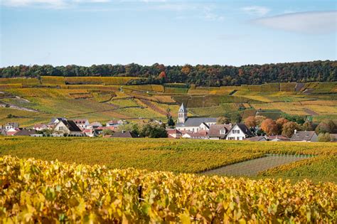 Oger Blancs Coteaux