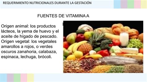 Requerimiento Nutricional Seminario Pptx