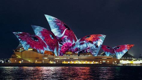 Imaginary Creatures To Light Up Sydney Opera House Bbc News