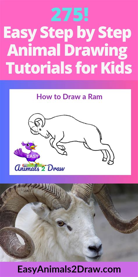 How To Draw A Ram Step By Step Tutorial Artofit