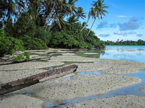 Island Conservation Palmyra Atoll Photo Gallery Island Conservation