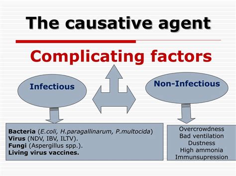 Ppt Avian Mycoplasmosis Powerpoint Presentation Free Download Id 9500323