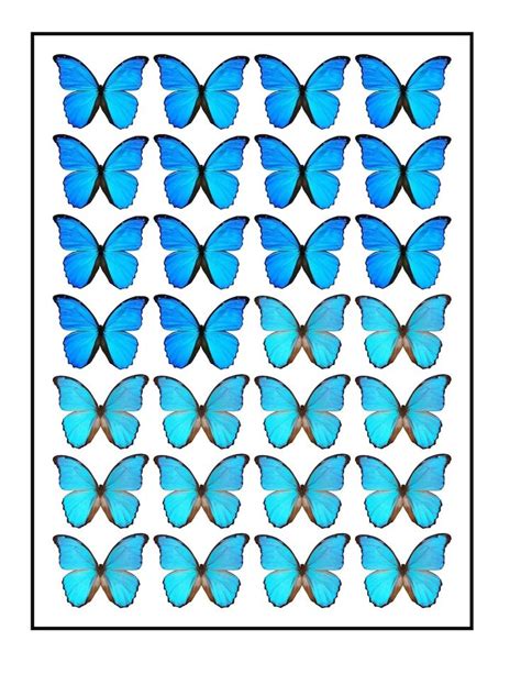 Butterfly Cakes Paper Butterflies Blue Butterfly Beautiful