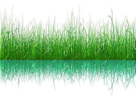 Premium Vector Green Grass Isolated On White