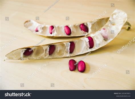 20,883 Red Seed Pods Images, Stock Photos & Vectors | Shutterstock