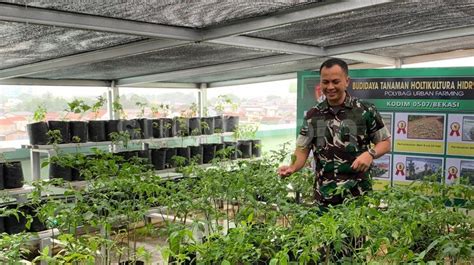 Jaga Ketahanan Pangan Kodim 0507 Bekasi Sulap Rooftop Jadi Urban Farming